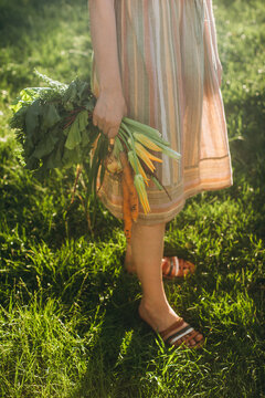 Woman holding fresh harvest of organic garden vegetables