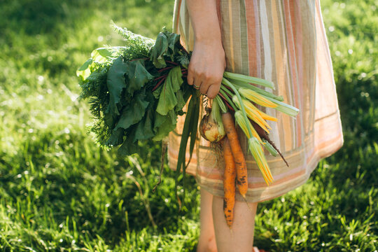 Woman holding fresh organic vegetables from home garden