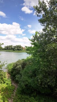 Cinematic 4K nature footage. Lush green leaves frame a tranquil river under a blue sky with clouds. A gentle breeze moves foliage, captured at 24fps with natural motion blur. 