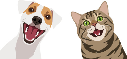 Fototapeta premium Friendly brown tabby cat with distinctive stripes and green eyes with an open, joyful mouth expression.
