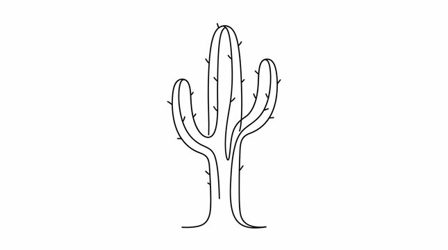 Cactus plant isolated desert flora prickly succulent