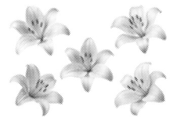 Fototapeta premium Halftone lily flower set with monochrome dotted texture and vintage print effect. Isolated floral elements in retro newspaper style for collage, posters, packaging and graphic design.