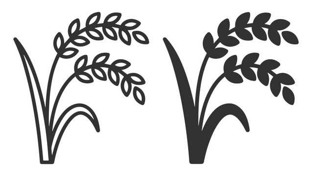 rice plant graphic illustration set, vector line icon and solid icon style on transparent background