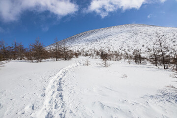 Obraz premium Snowy hiking trail leading to Mount Maekake of Mount Asama in winter