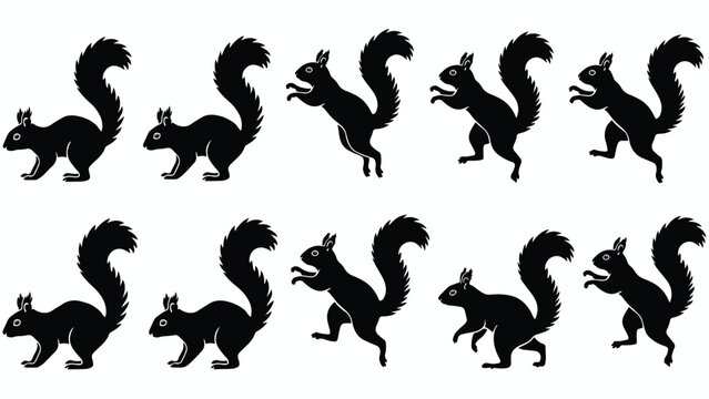 Collection of black squirrel silhouettes in various poses on white background
