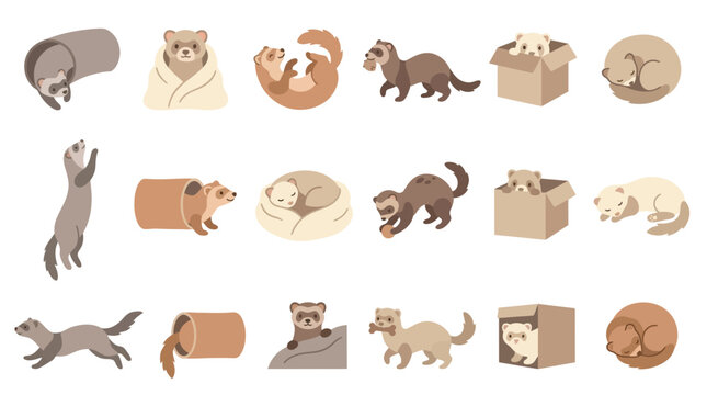 Collection of cute cartoon ferrets in various poses and activities, isolated on a white background.