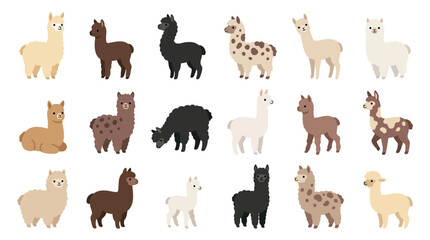 Fototapeta premium Collection of cute cartoon alpacas in various colors and patterns, standing and sitting, isolated on a white background.