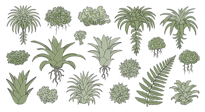 Various types of green plants 1.