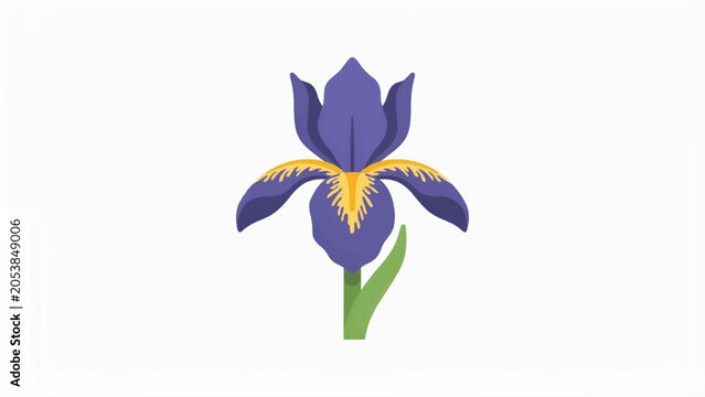 Purple iris flower with yellow and green details isolated on white background