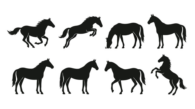 Black horse silhouettes collection, 8 equine vector icons in various poses, galloping and jumping stallion shapes, wild mustang animal set