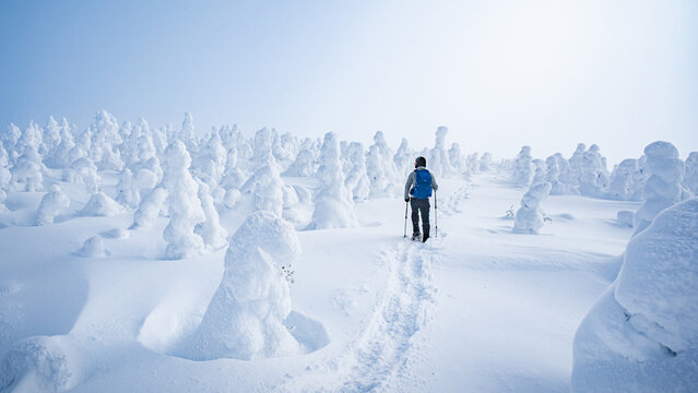 Lone hiker walking through snow ghosts, snow covered trees on a summit in Gaspesie national park, Quebec, Canada