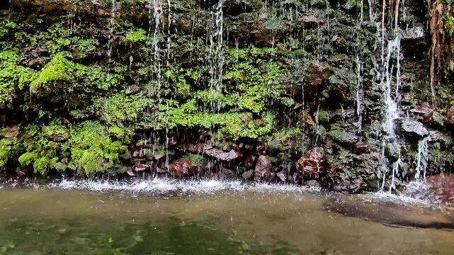神奈川県箱根で撮影した千条の滝