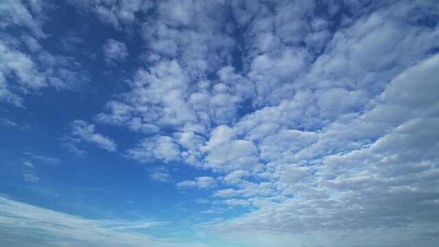 青空を流れる雲
