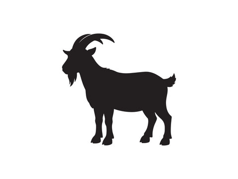 Black silhouette of a standing billy goat with horns silhouette livestock standing