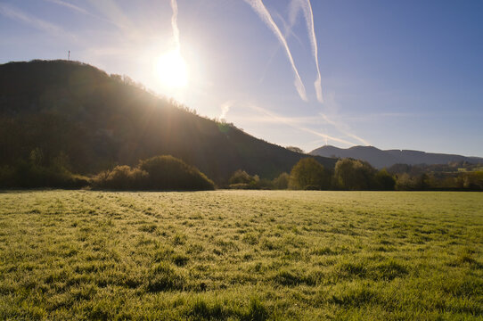 Green meadow in bright morning back light