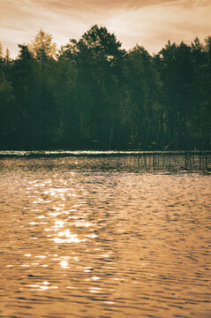 Golden water reflection, mystical forest lake back lit