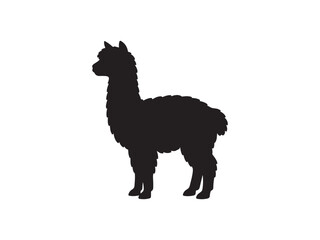 Fototapeta premium Black silhouette of an alpaca standing isolated on white background with silhouette