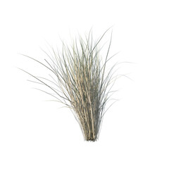 Fototapeta premium Grass bush isolated transparent background photo realistic 3d rendering PNG 16 bit with alpha channel 