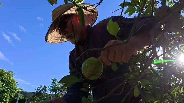 Llano meta