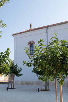 Church of St. Anastasia surrounded by trees in Biograd na Moru, Dalmatia, Croatia