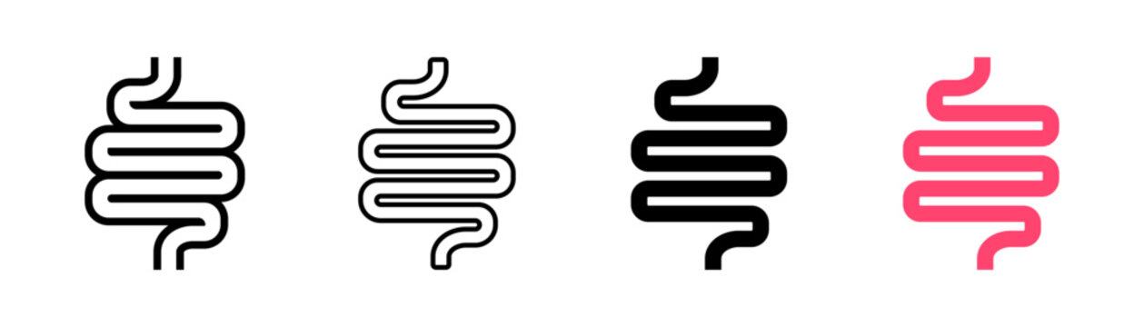 Intestine icon with human bowel anatomy symbol, digestive system and gastrointestinal tract vector illustration
