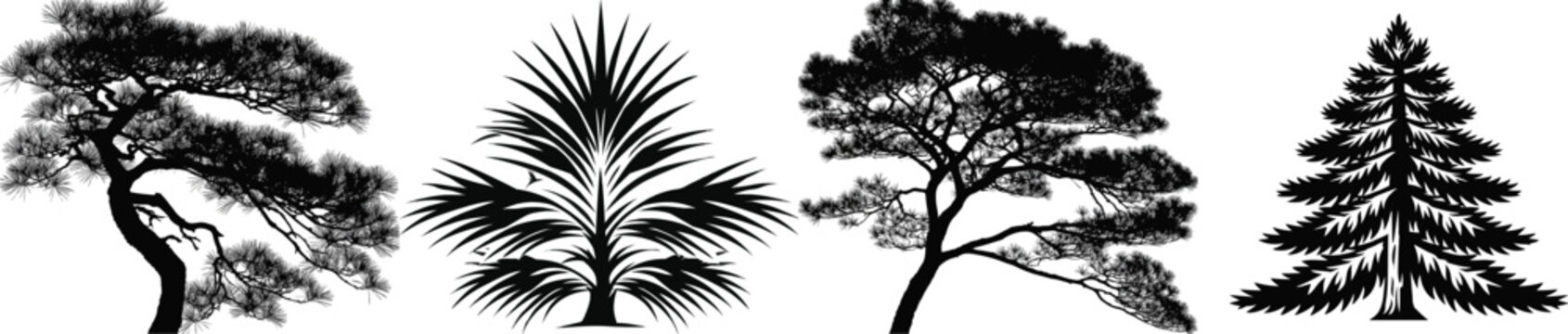 A classic pine tree with sharp needles and a straight trunk is depicted in a black and white vector illustration, showcasing its geometric silhouette against a pure white background