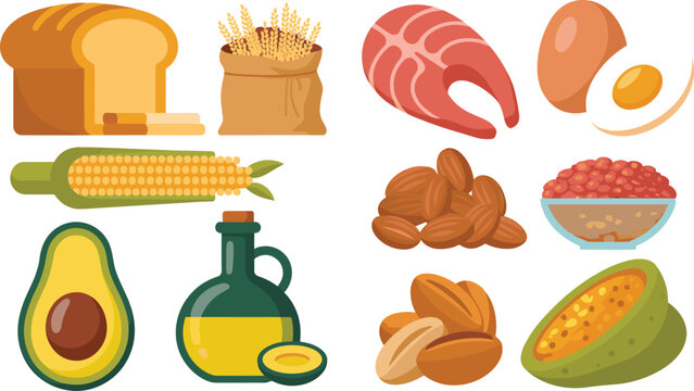 Healthy Diet Macronutrients Food Vector Icon Set Featuring Healthy Fats Carbohydrates Proteins Avocado Salmon Olive Oil Bread Nuts and Eggs Graphic Elements