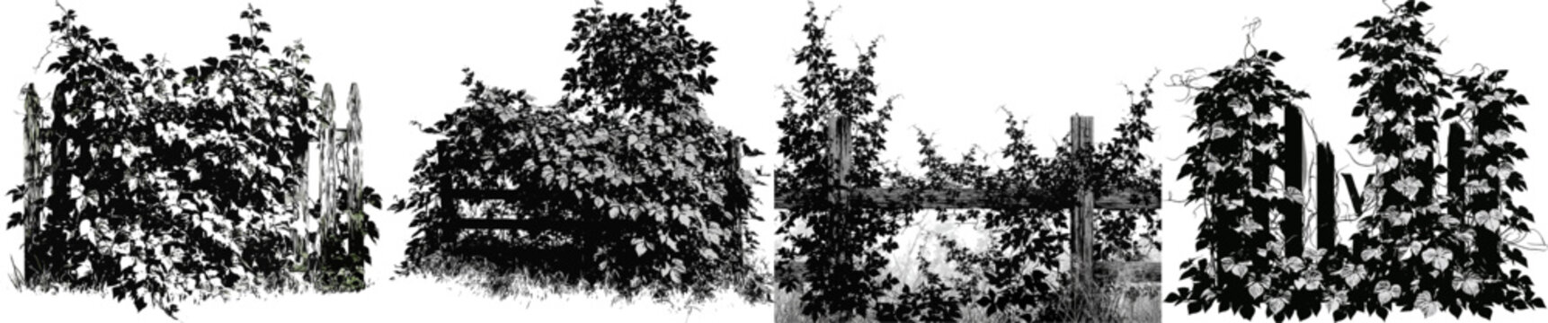 A dense, aggressive Kudzu vine colony completely smothering an old wooden fence post layout, black and white vector art, chaotic organic silhouette, isolated on a solid white background