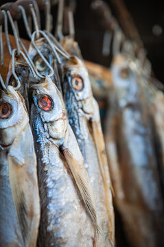 Dried fish hanging on hooks, perfect for rustic food content