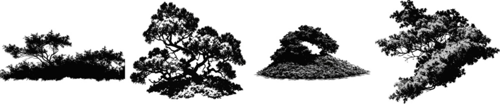 A low-lying creeping juniper bush in black and white vector art, flat ground-cover silhouette, monochrome, isolated on a solid white background