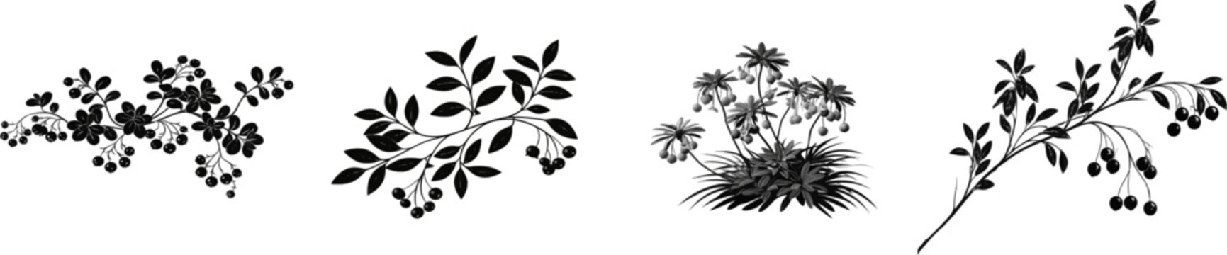 A delicate wild cranberry bog plant runner with micro oval evergreen leaves and tiny round berries hangs gracefully from hair-thin stems in a low-lying, monochrome vector art illustration set against