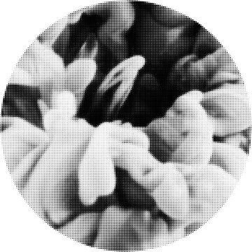 Large vector halftone circular washed ink texture with a transparent background