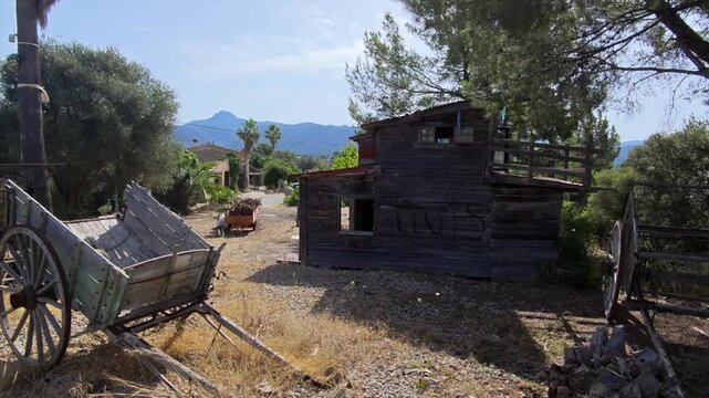 Rustic wooden carts and countryside shed in Mediterranean rural landscape on hot summer morning