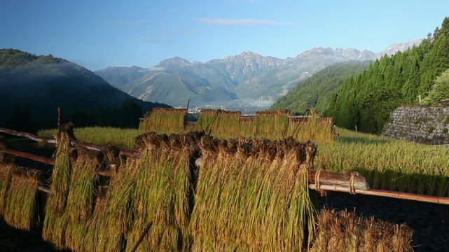 青鬼棚田の朝と北アルプス