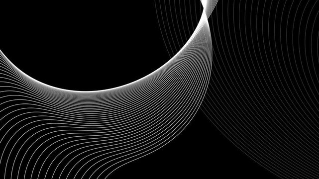 Minimalist flowing white curved lines forming abstract wave patterns animation