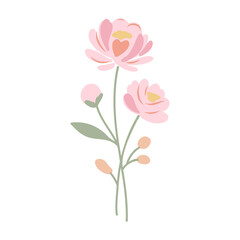 Obraz premium peonies, vector sketch
