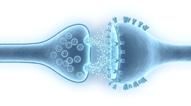 3D rendering of a neuronal synapse with neurotransmitters crossing the synaptic cleft, neuroscience concept.