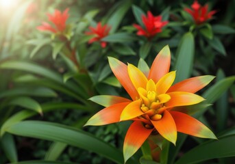 Obraz premium Vibrant orange and yellow flower with green leaves in a garden setting with red flowers
