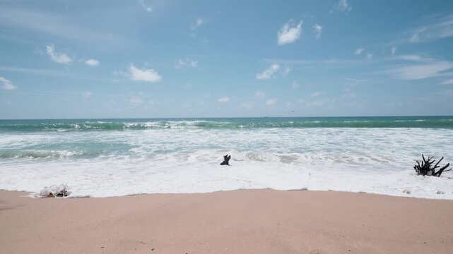 Clear blue sky with clouds overlooks the ocean. Gentle waves form white foam on the sand. Driftwood rests on the beach, adding natural texture.