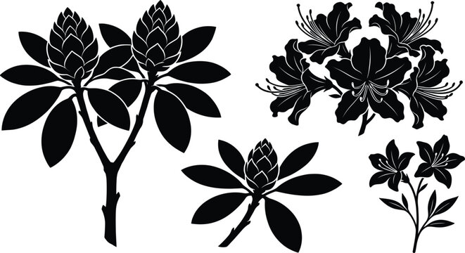 Solid black rhododendron bud silhouette vector set with decorative open azalea flower branch