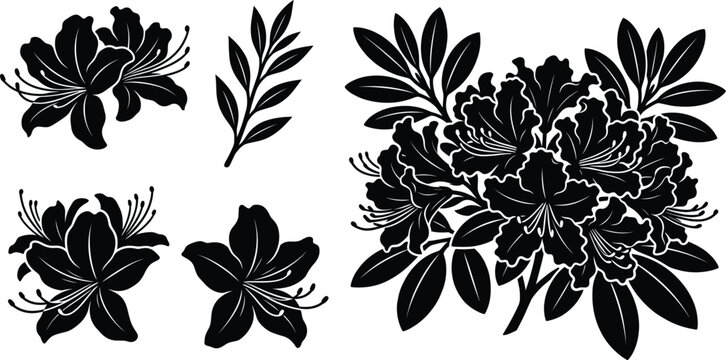 Solid black rhododendron flower bush silhouette vector set with decorative azalea blossoms