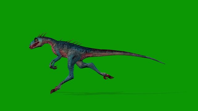 Cute Mini Raptor Attack Scene Left Side.mp4.mp4