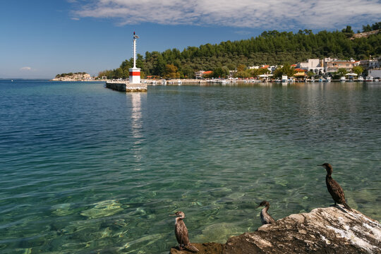 Coastal view of Thassos Old Harbour in Limenas with turquoise water and birds