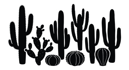 Black cactus silhouettes on white background © NurJahan