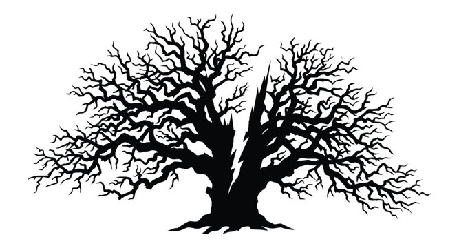 Ancient oak tree silhouette with gnarled branches, split trunk, vector illustration.