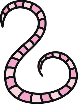 Pink segmented worm or parasite drawing on white background