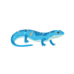 Fototapeta premium Blue Lizard Icon Isolated on Transparent Background
