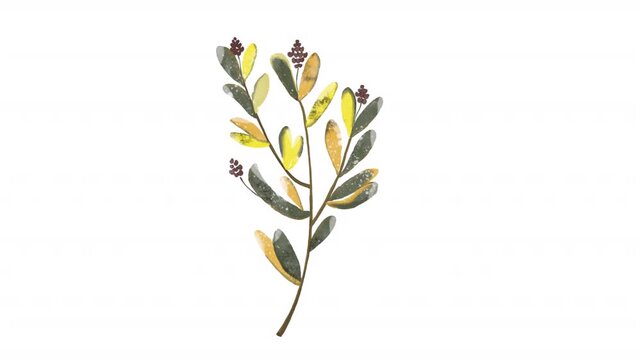 Watercolor floral pattern of green botanical foliage ideal for stationery, textiles, packaging, and interior design projects requiring a natural touch.