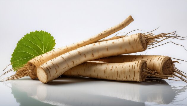 fresh burdock roots on a clean white background in a minimalist still life