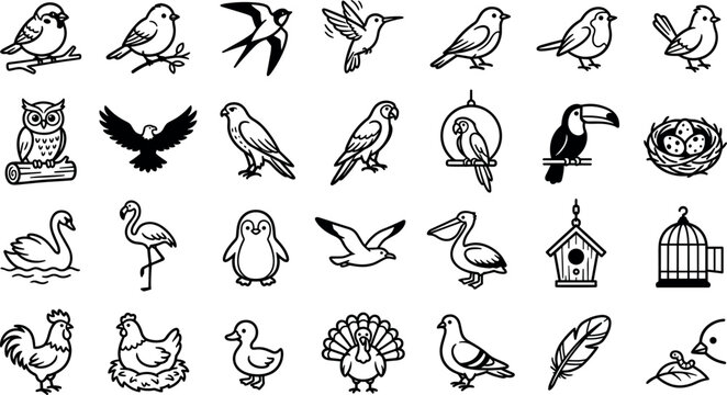Bird Species Line Art and Silhouette Vector Set with Wildlife Icons for Birdwatching Nature Education and Aviary Logo Designs